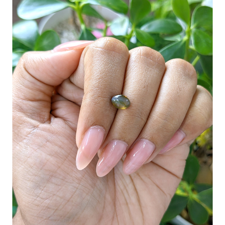 1.65 Ct. Cabochon Chrysoberyl from Tanzania