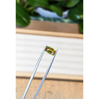 2.17 Ct. Sphene (Titanite) from Madagascar Life Style