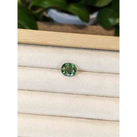 3.59 Ct. Apatite from Madagascar Life Style