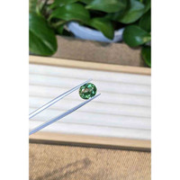 3.59 Ct. Apatite from Madagascar Life Style