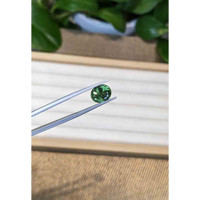 3.32 Ct. Apatite from Madagascar Life Style