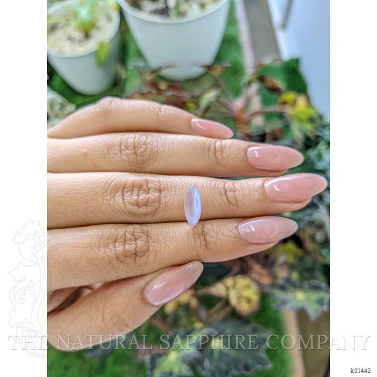 2.20 Ct. Cabochon Moonstone from Ceylon (Sri Lanka)