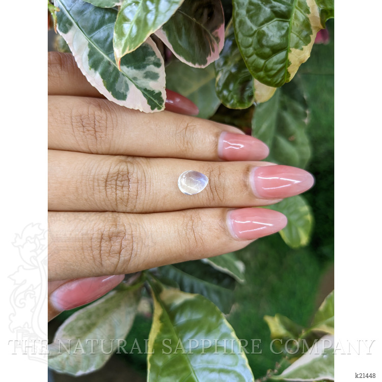 1.94 Ct. Cabochon Moonstone from Ceylon (Sri Lanka)