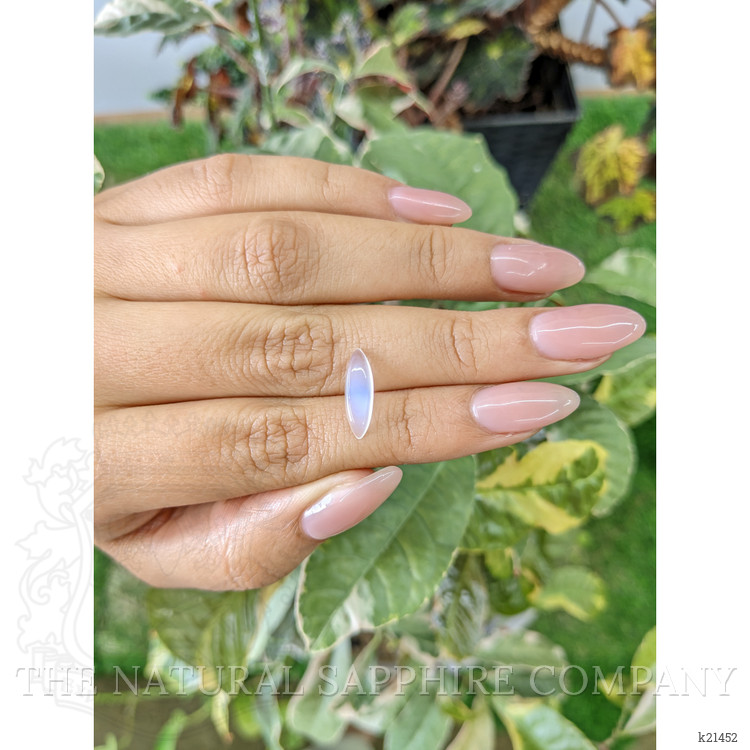 1.50 Ct. Cabochon Moonstone from Ceylon (Sri Lanka)