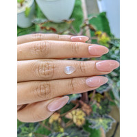 1.49 Ct. Cabochon Moonstone from Ceylon (Sri Lanka) Life Style