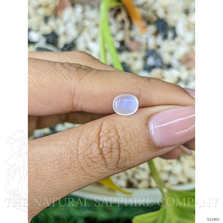 1.41 Ct. Blue Flash Cabochon Moonstone from Ceylon (Sri Lanka)