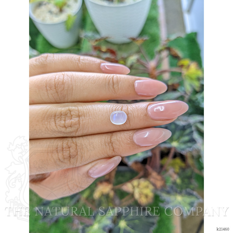 1.41 Ct. Blue Flash Cabochon Moonstone from Ceylon (Sri Lanka)