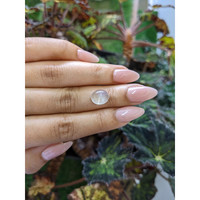 4.43 Ct. Cabochon Moonstone from Ceylon (Sri Lanka) Life Style