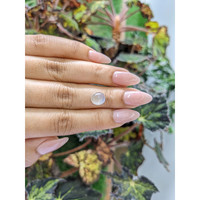 2.90 Ct. Cabochon Moonstone from Ceylon (Sri Lanka) Life Style