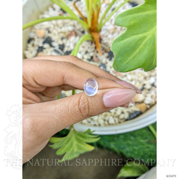 5.20 Ct. Blue Flash Cabochon Moonstone from Ceylon (Sri Lanka)