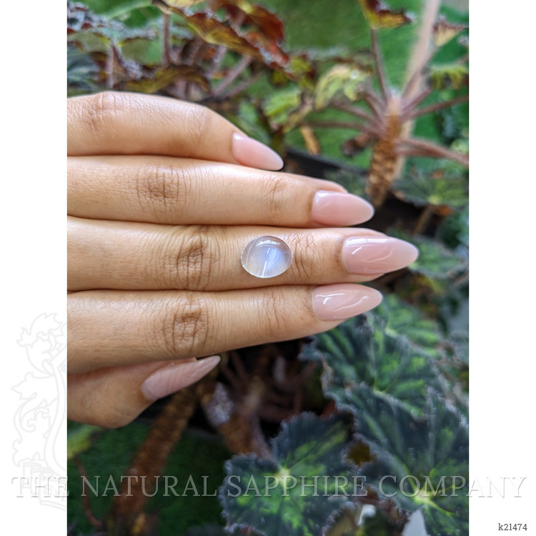 7.06 Ct. Cabochon Moonstone from Ceylon (Sri Lanka)