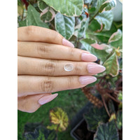 1.99 Ct. Cabochon Moonstone from Ceylon (Sri Lanka) Life Style