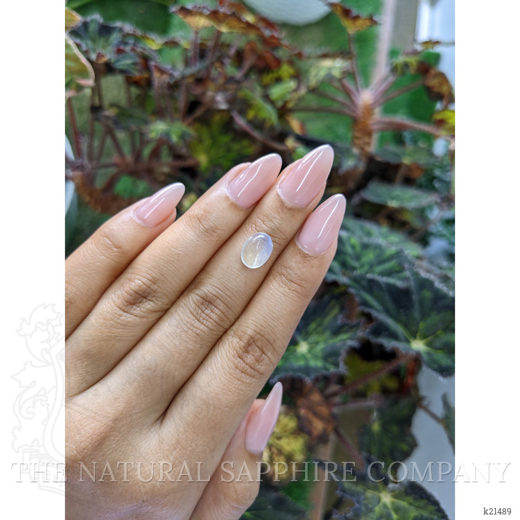 2.95 Ct. Cabochon Moonstone from Ceylon (Sri Lanka)