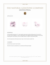 3.77 Ct. Kunzite from Brazil Appraisal