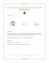 3.77 Ct. Kunzite from Brazil Appraisal