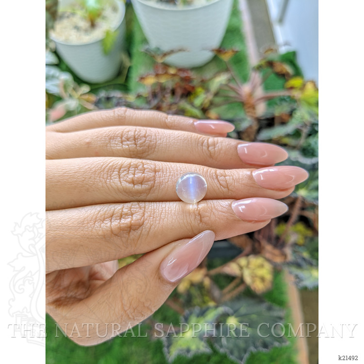 4.78 Ct. Cabochon Moonstone from Ceylon (Sri Lanka)
