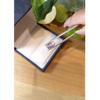 3.56 Ct. Kunzite from Afghanistan Life Style