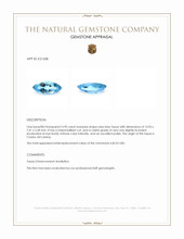 3.90 Ct. Swiss Blue Topaz from Ceylon (Sri Lanka) Appraisal