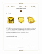 18.65 Ct. Yellow Citrine from Brazil Appraisal