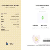 4.06 Ct. Paraiba Tourmaline from Mozambique Scan Report