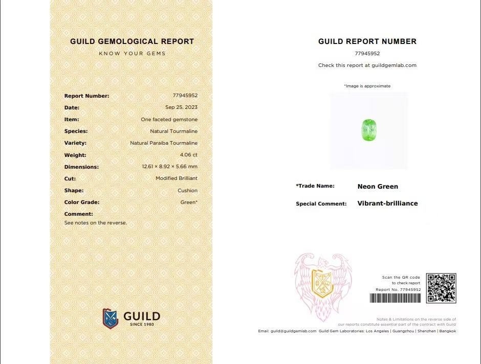 4.06 Ct. Paraiba Tourmaline from Mozambique