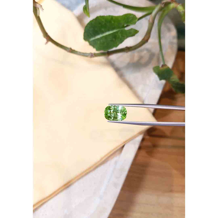 4.06 Ct. Paraiba Tourmaline from Mozambique