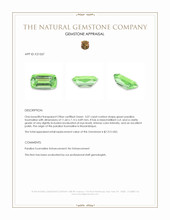 3.07 Ct. Paraiba Tourmaline from Mozambique Appraisal