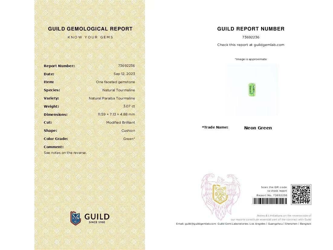 3.07 Ct. Paraiba Tourmaline from Mozambique