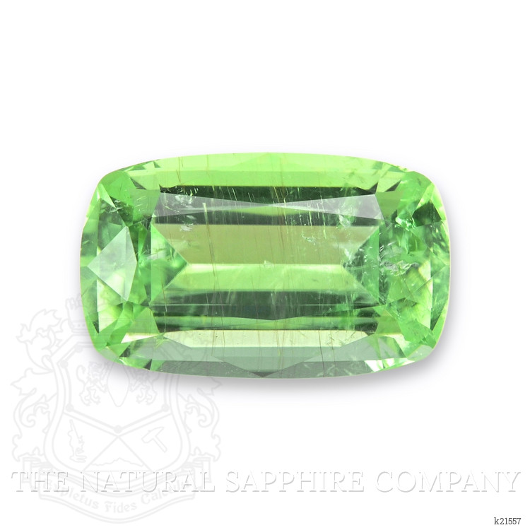 3.07 Ct. Paraiba Tourmaline from Mozambique