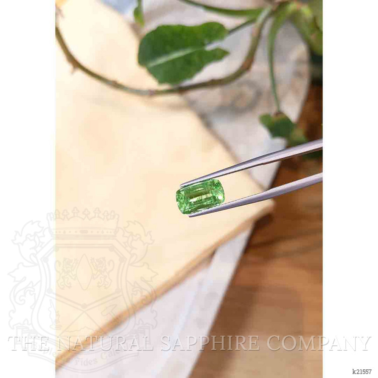 3.07 Ct. Paraiba Tourmaline from Mozambique