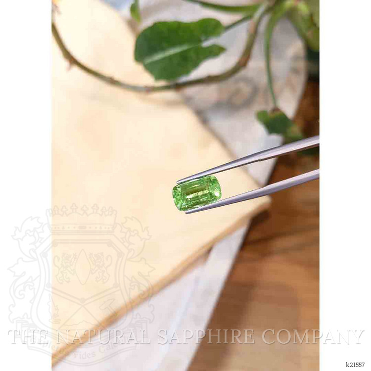 3.07 Ct. Paraiba Tourmaline from Mozambique