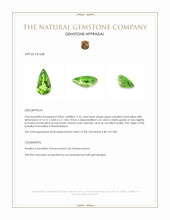 2.55 Ct. Paraiba Tourmaline from Mozambique Appraisal