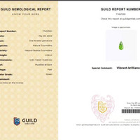 2.55 Ct. Paraiba Tourmaline from Mozambique Scan Report