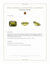 6.49 Ct. Tourmaline from Ceylon (Sri Lanka) Appraisal