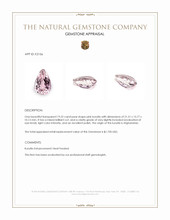 19.22 Ct. Kunzite from Afghanistan Appraisal