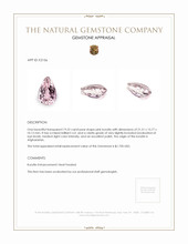 19.22 Ct. Kunzite from Afghanistan Appraisal