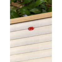 2.43 Ct. Rhodonite from Brazil Life Style