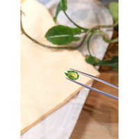 1.35 Ct. Paraiba Tourmaline from Mozambique Life Style