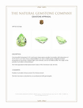 2.59 Ct. Green Paraiba Tourmaline from Mozambique Appraisal