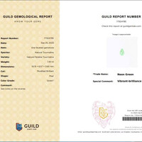 1.29 Ct. Paraiba Tourmaline from Mozambique Scan Report