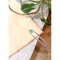 1.29 Ct. Paraiba Tourmaline from Mozambique Life Style