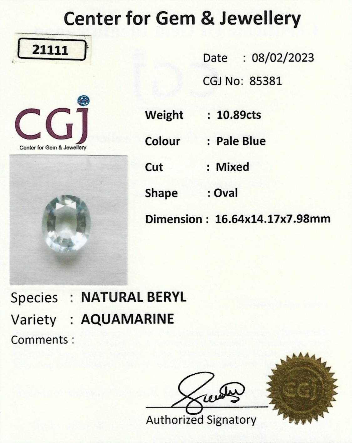 10.89 Ct. Aquamarine from Ceylon (Sri Lanka)