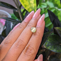 1.72 Ct. Chrysoberyl from Ceylon (Sri Lanka) Life Style