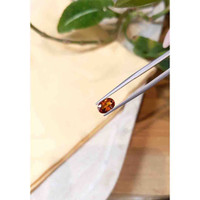 1.42 Ct. Spessartite Garnet from Madagascar Life Style