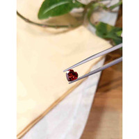 1.49 Ct. Garnet from Ceylon (Sri Lanka) Life Style