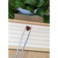 1.33 Ct. Garnet from Ceylon (Sri Lanka) Life Style