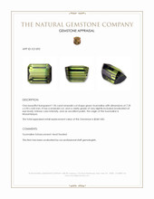 1.96 Ct. Tourmaline from Mozambique Appraisal