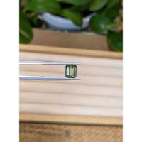 1.96 Ct. Green Tourmaline from Mozambique Life Style