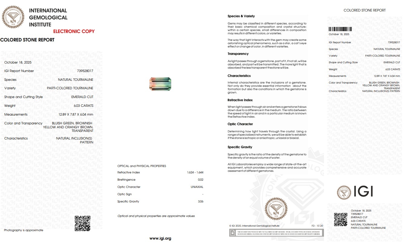 6.03 Ct. Tourmaline from Mozambique