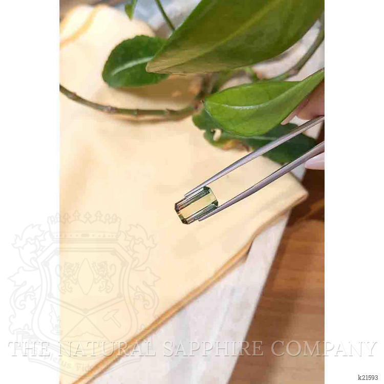 6.03 Ct. Tourmaline from Mozambique